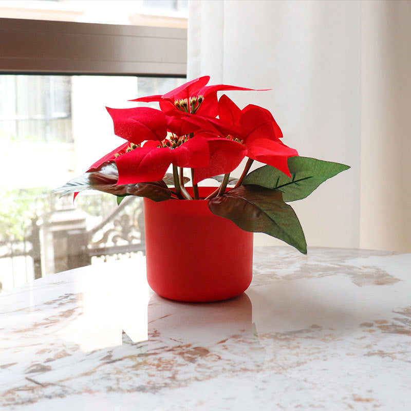 Illuminate Your Holidays with LED Christmas Flower Night Lamps – Elegant Décor for Cozy Celebrations