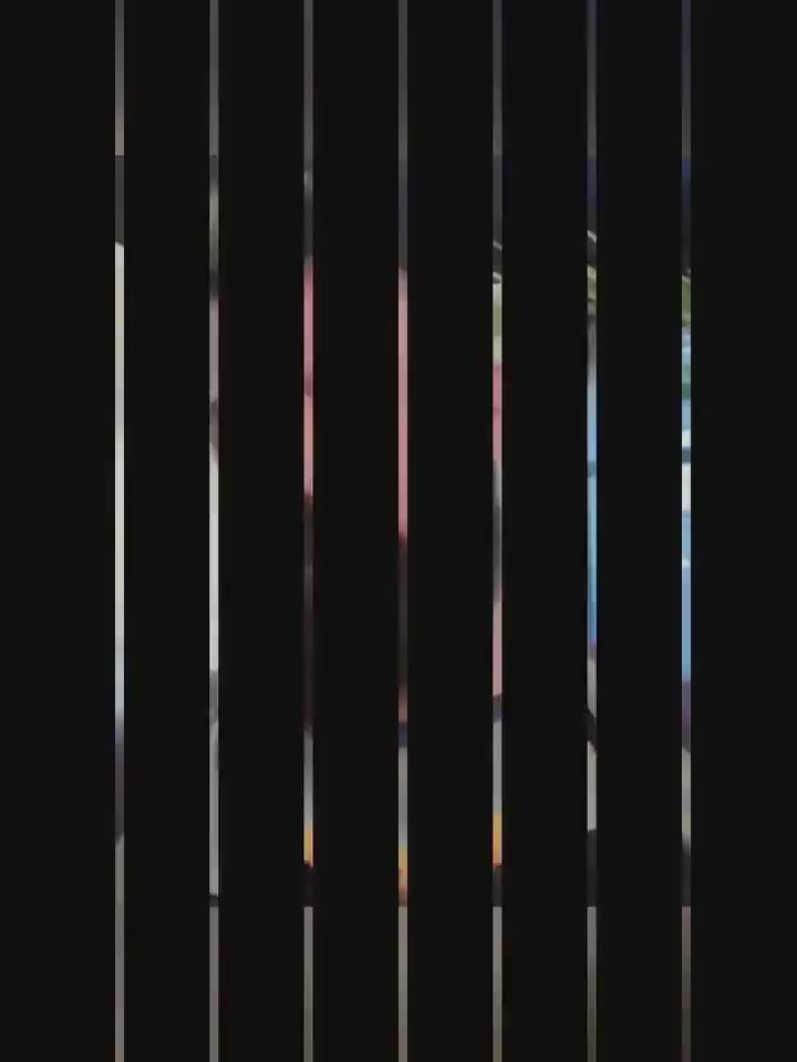 Beard comb pig bristle brush