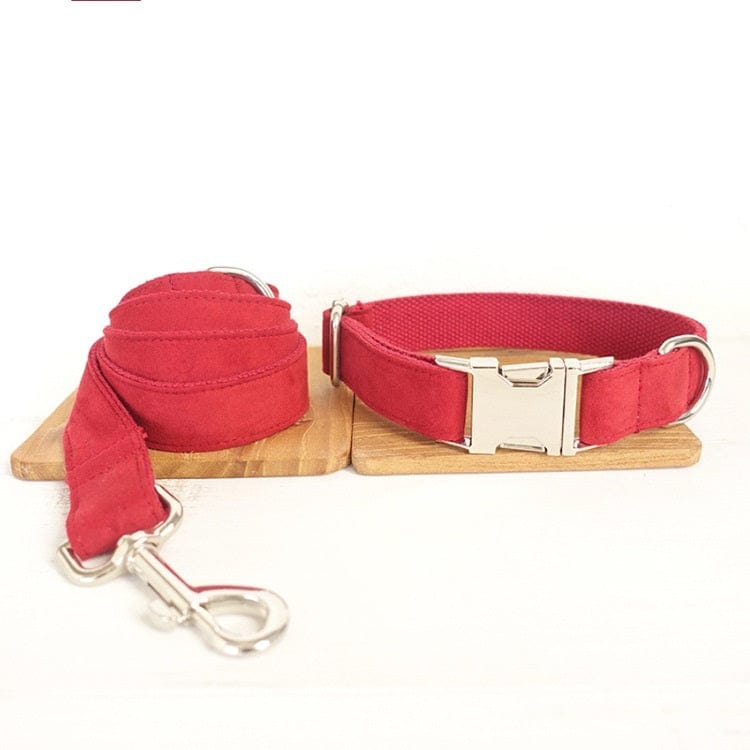 Sprout Health 0 Red Aset / XS Pet Dog Traction Collar