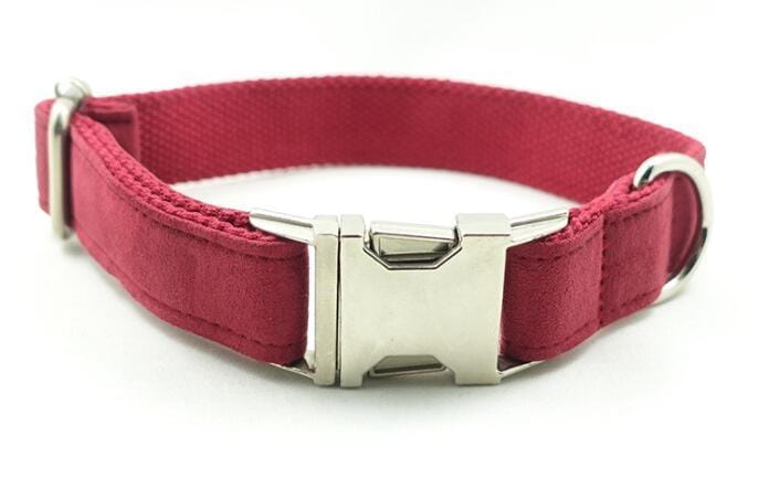 Sprout Health 0 Red / XS Pet Dog Traction Collar